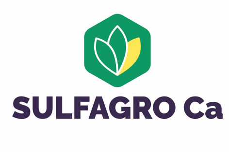 logo Sulfagro CA